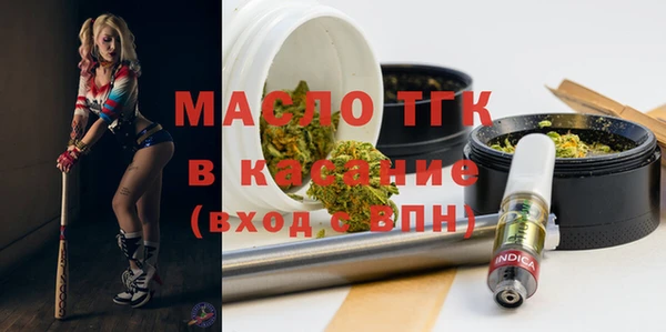 хмурый Абаза