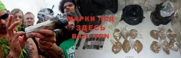 хмурый Абаза