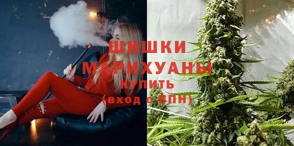 хмурый Абаза