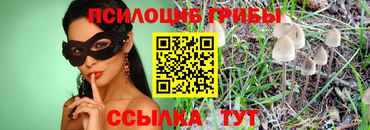 Псилоцибиновые грибы мухоморы Шали